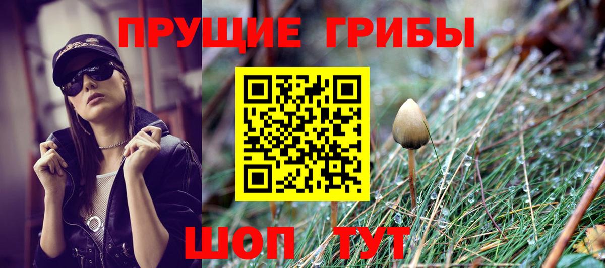 Псилоцибиновые грибы Psilocybe  Галлюциногенные грибы GOLDEN TEACHER  Вход с VPN  Партизанск 